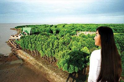 ve-may-bay-ca-mau