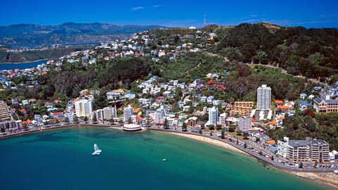 vé máy bay giá rẻ đi New zeland đặt vé máy bay giá rẻ đi New zeland